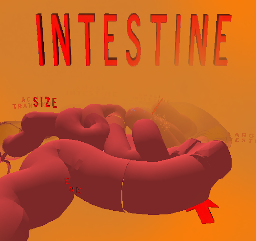 Android application The Intestines VR screenshort