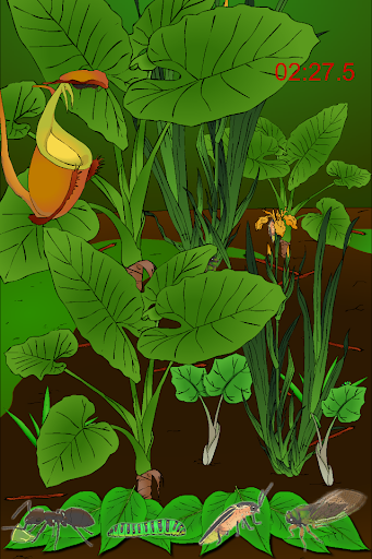 Android application Hidden Insects screenshort