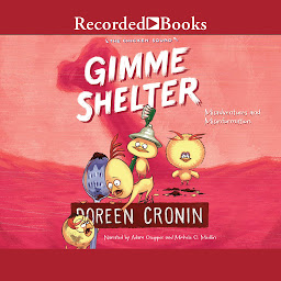 Icon image Gimme Shelter: Misadventures and Misinformation