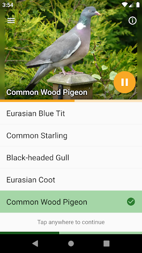 Android application Papageno: Birdsong Tutor screenshort