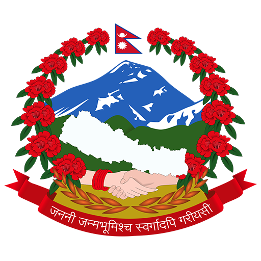 Gandaki Health  Icon