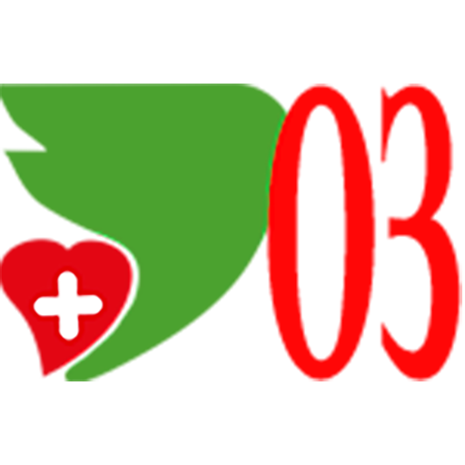 Эввива-03 logo