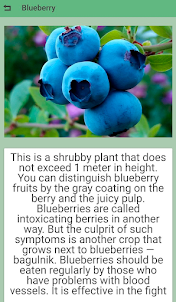 Useful berries