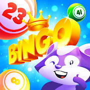 Bingo Raccoon 1.0.16 Icon