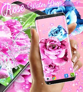 Rose pink water drop wallpaper - Apps on Google Play