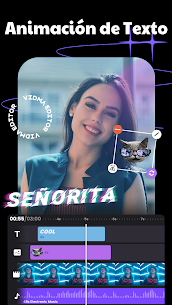 Vidma Cut Pro 5