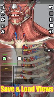 3D-anatomi-skærmbilleder