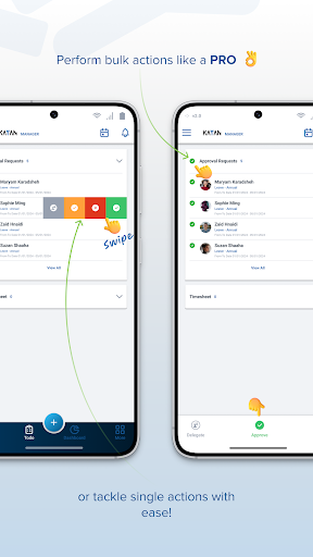 Screenshot of KayanHR