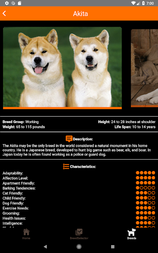Download Dogipedia - Dog breed selector and list of breeds Free for Android  - Dogipedia - Dog breed selector and list of breeds APK Download -  