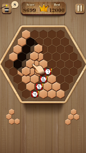 Wooden Hexagon Fit: Hexa Block Mod Apk 2