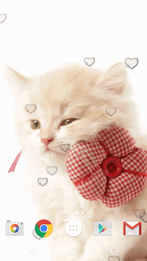 Chatons Fond D Ecran Anime Applications Sur Google Play