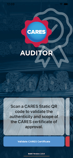 CARES Auditor Screen 3