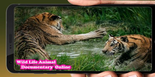 Wild Animal Documtery Online Screen 3