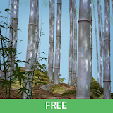 Bamboo Forest 3D Live Wallpaper/Screen Saver Free icon
