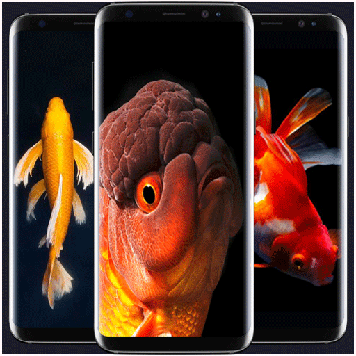 Goldfish Wallpaper logo