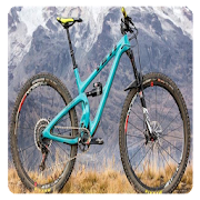 Picture of the best mountain bike model
