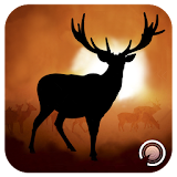 Safari Archery Hunting 2017 icon