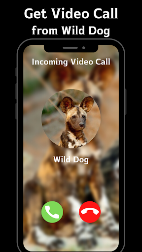 Wild Dog Games Calling Screen 2