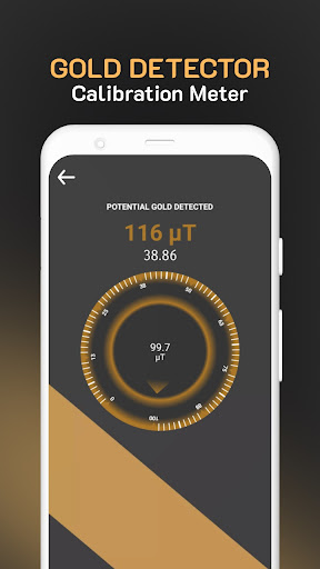 Gold Detector Screen 2