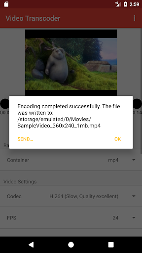 Video Transcoder Screen 3