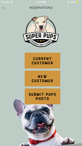Super Pups Daycare Screen 3