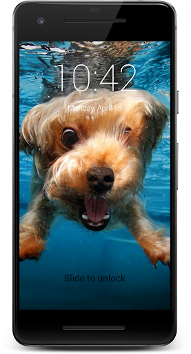 Dog Mans Best Friend HD Lock