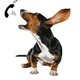 Come Here Doggy Sounds icon