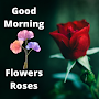 Good Morning Roses Quotes Pics