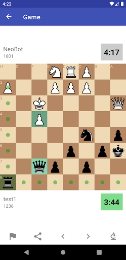 Flang Screen 3