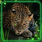 Cover Image of ดาวน์โหลด Leopards HD  APK
