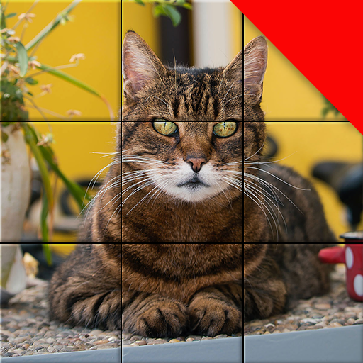 Jigsaw Cat Mosaic Puzzles logo