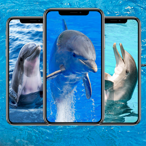 Fish Dolphin Wallpapers logo