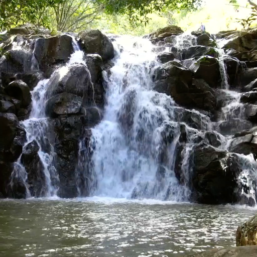 Real Nature Live Wallpaper Pro logo