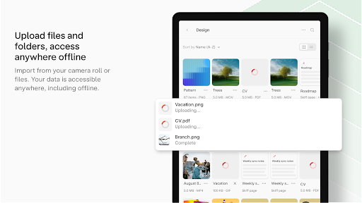 Skiff Drive - Secure files