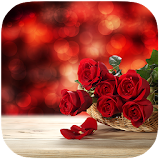 Red Rose and Heart Best Theme icon