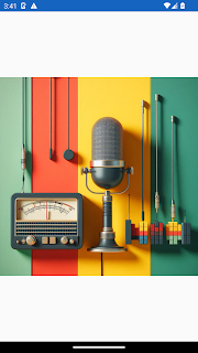 Guinea Radios + Recorder