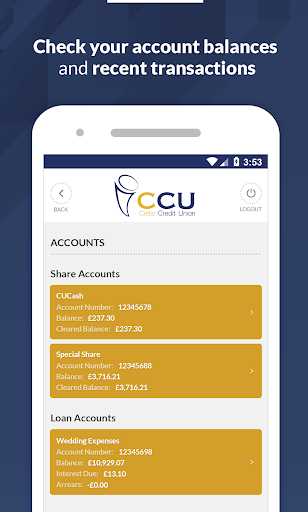Celtic Credit Union Screen 2