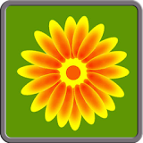 Learn To Draw Flowers icon