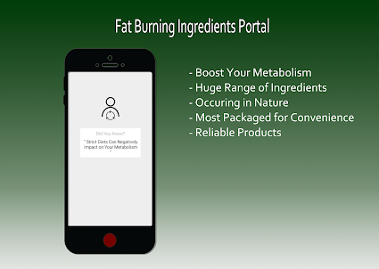 Fat Burning Ingredients Portal