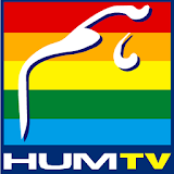 HUM TV Dramas Live in HD icon