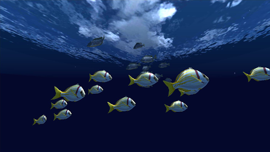 Fish Schooling VR Screenshot