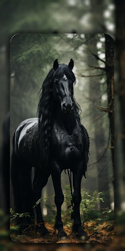 Horse Wallpaper 4K - HD Screen 3