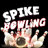 스파이크 볼링 (Spike Bowling)0.19