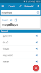 screenshot of French-Hungarian Dictionary