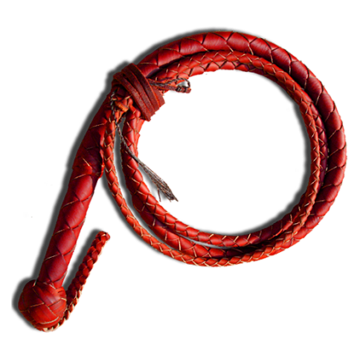 Whip  Icon