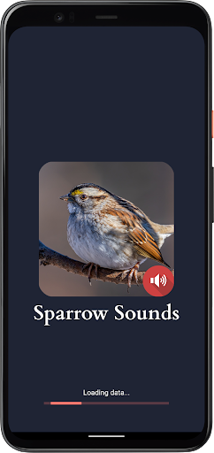 Android application Sparrow Sounds screenshort