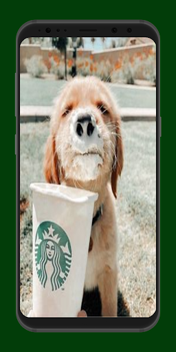 puppy wallpaper Screen 2