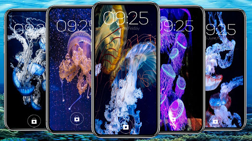 Android application Sea Jellyfish Wallpaper screenshort
