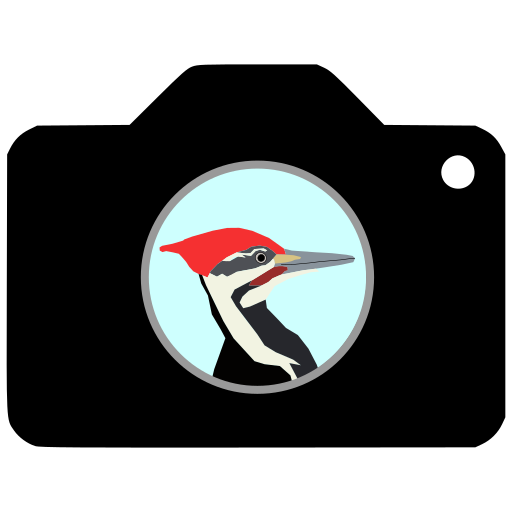 Belles photos doiseaux logo