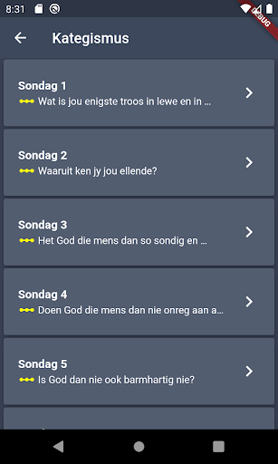 Nederlandse Geloofsbelydenis Screen 2